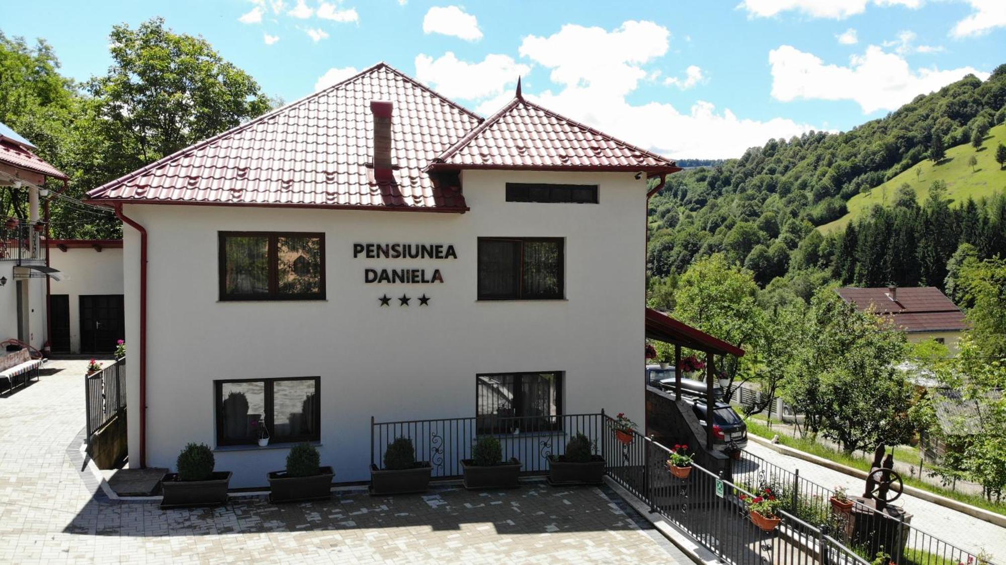 Pensiunea Daniela Moisei Luaran gambar